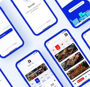 UI design project showcase detail view